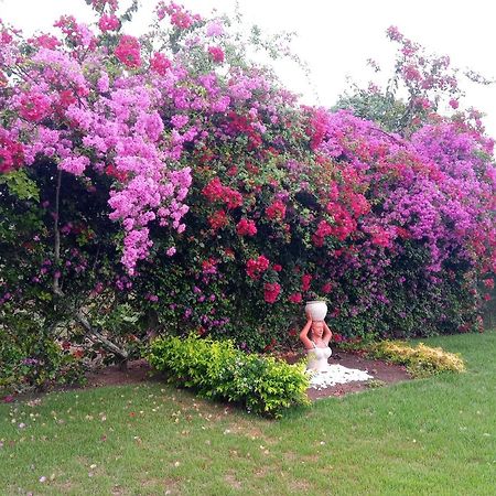 Villa Casa Rústica em Gravatá Esterno foto