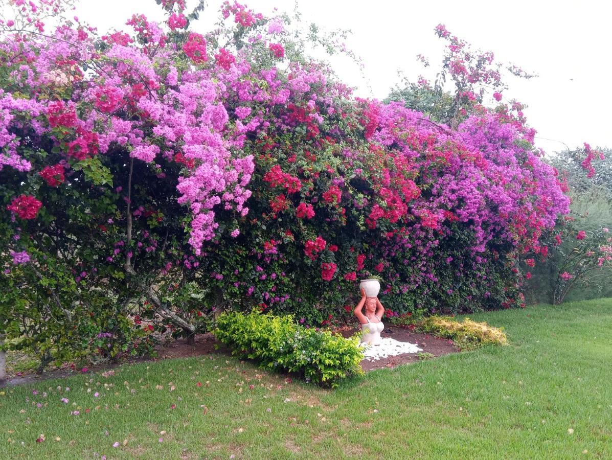 Villa Casa Rústica em Gravatá Esterno foto